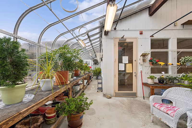 A bright greenhouse room with a glass ceiling and walls, filled with various potted plants on wooden shelves along the left side. A door with glass panels is at the end of the room, next to a small table with more plants and a white wicker chair with a pink and white striped cushion. The floor is concrete and fluorescent lights hang from the ceiling.