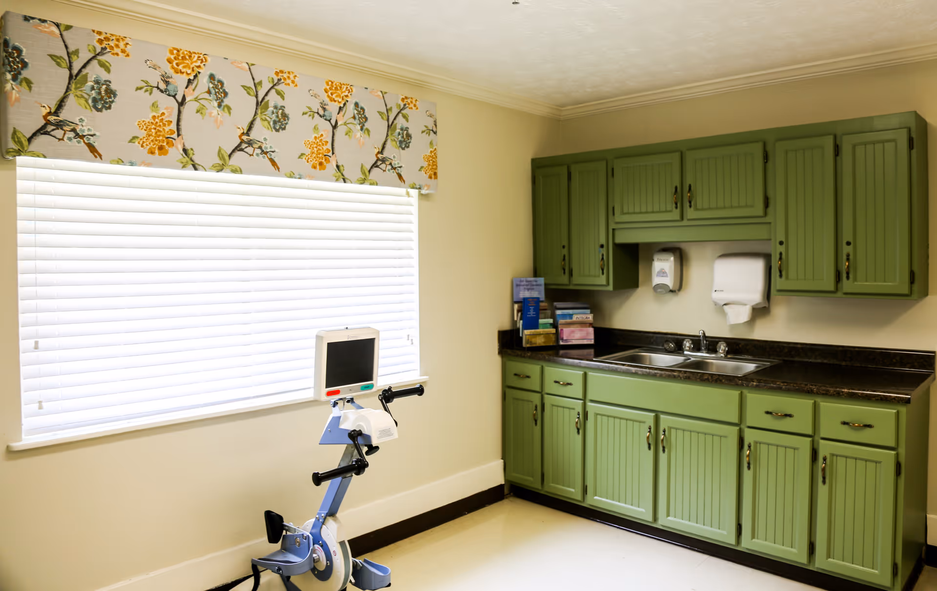 Small kitchenette with green cabinets, a double sink and paper dispensers, a large window with blinds, and a rehabilitation exercise bike in the foreground.