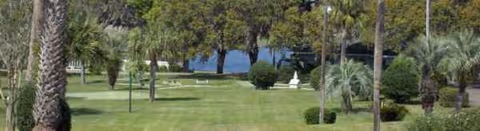 Sunlit outdoor lawn with palm trees and manicured shrubs in a spacious courtyard.