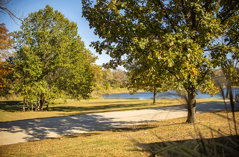 A peaceful outdoor scene featuring a paved pathway surrounded by green grass and trees with dense foliage. In the background, there is a calm body of water reflecting the clear sky, suggesting a serene natural environment.