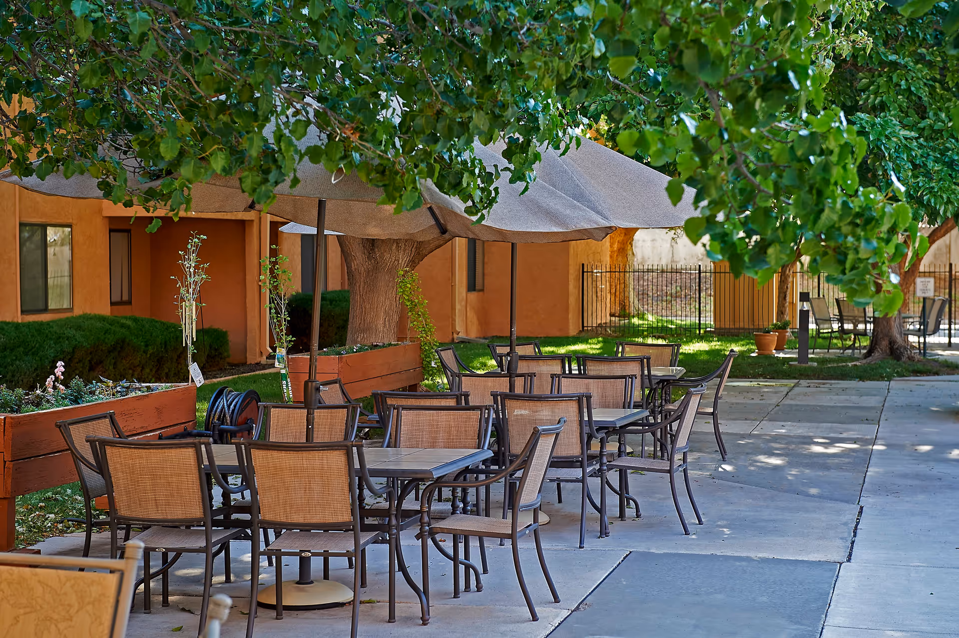 Outdoor patio area at Sandia Vista Senior Living with multiple tables and chairs under large umbrellas, surrounded by trees and greenery, with a building in the background.