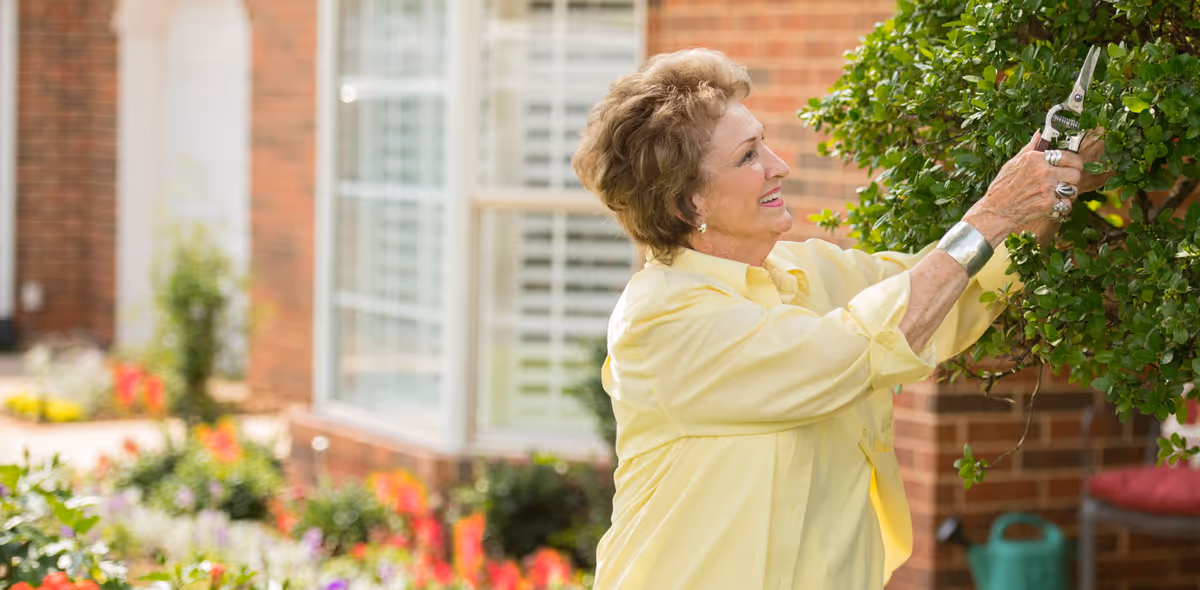 An elderly woman wearing a yellow shirt is trimming a green bush with garden shears outside a brick building with a window and colorful flowers in the background.