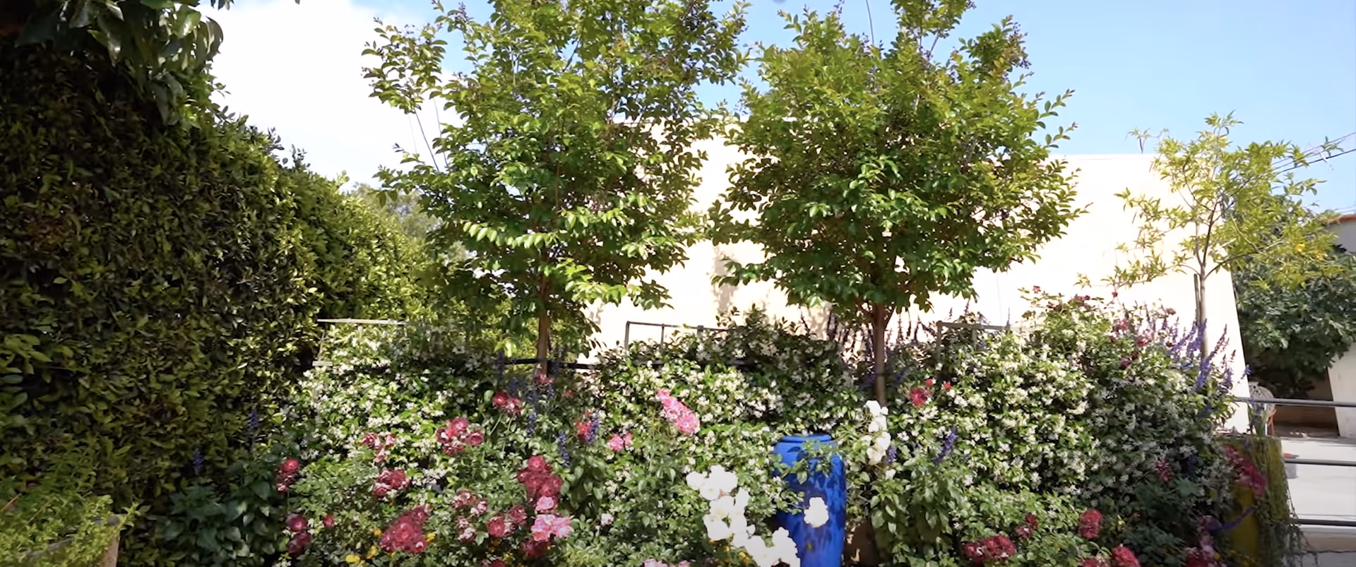 A vibrant garden area with various flowering plants including pink, white, and purple flowers, surrounded by green leafy bushes and small trees under a clear blue sky.