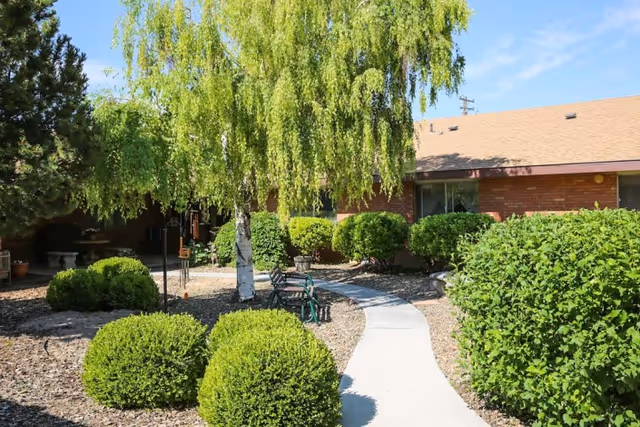 A sunny outdoor garden area with a curved concrete pathway surrounded by green bushes and a large leafy tree. There are several green metal chairs along the path and a brick building with windows in the background.