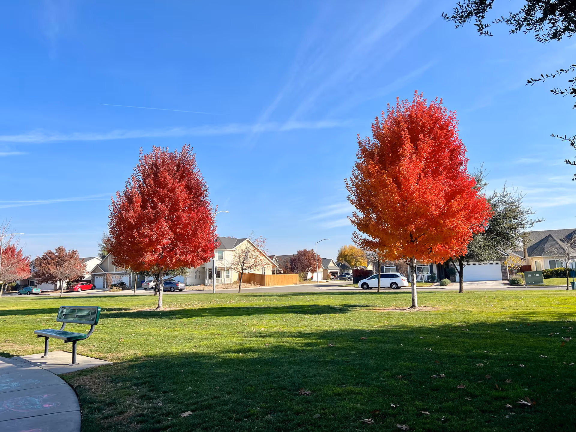 A park-like outdoor area with green grass, two vibrant red and orange autumn trees, a green bench on a paved path, and houses with cars in the background under a clear blue sky.