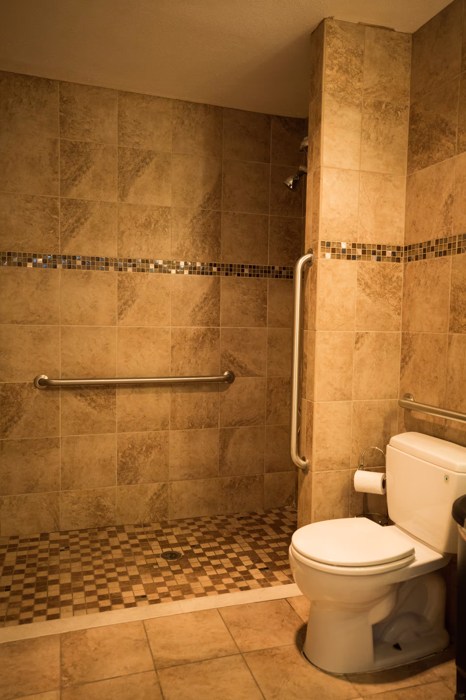 A bathroom with beige and brown tiled walls and floor. The shower area has a mosaic tile floor and a horizontal grab bar on the wall. There is a vertical grab bar on the corner wall near the shower. A white toilet is positioned next to the shower with a toilet paper holder mounted on the wall beside it.