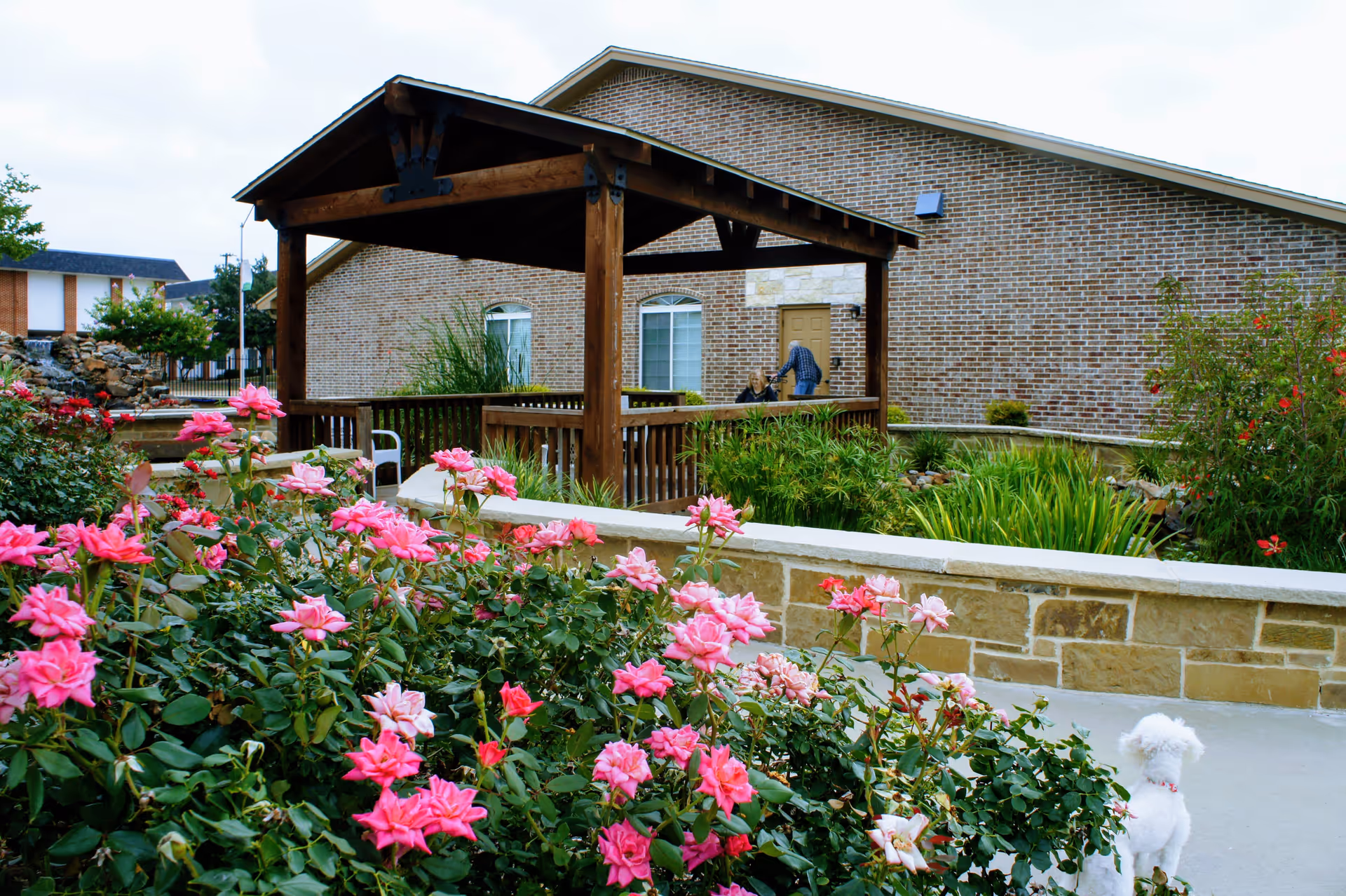 Outdoor garden area at Duncanville Senior Living featuring a wooden gazebo, vibrant pink flowers, green plants, a stone wall, and a small white dog standing on a concrete path. A brick building with windows and a door is visible in the background.
