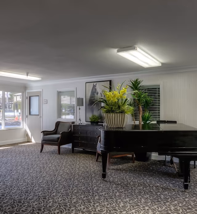 Interior room with patterned carpet, a black grand piano with a large plant on top, a dark wooden dresser with a lamp and small plant, a framed picture of a horse on the wall, and a cushioned armchair near a window and door letting in natural light.
