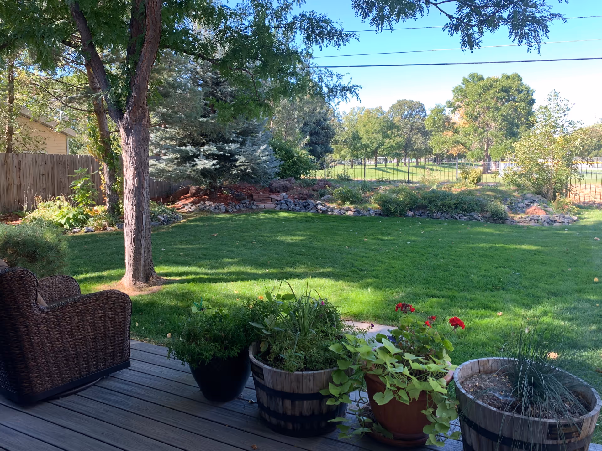 View of a green backyard garden with a wooden deck in the foreground featuring potted plants and a wicker chair. The yard has a large tree, well-maintained grass, shrubs, and a wooden fence on the left side with more trees and a metal fence in the background.