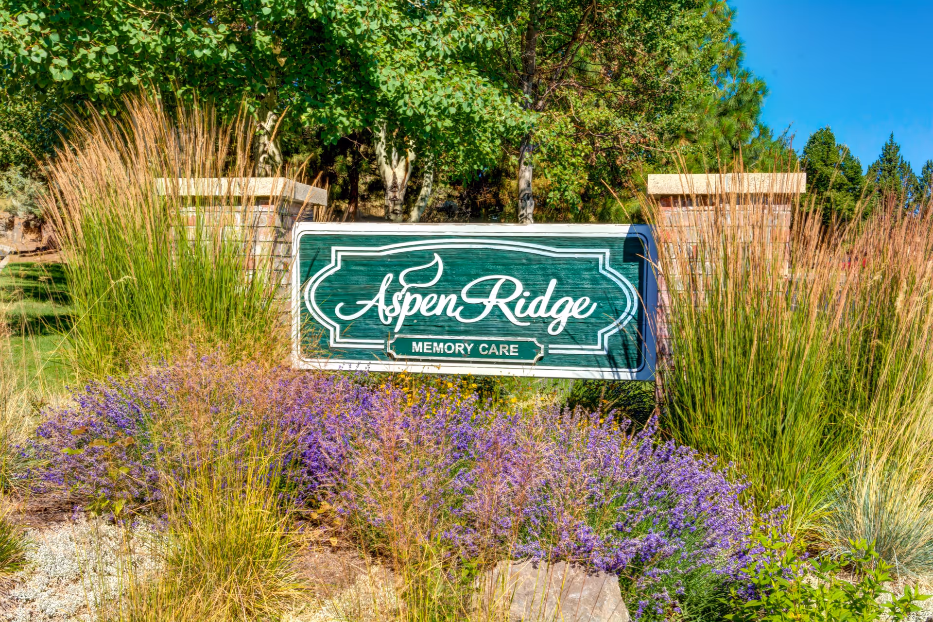 A green and white sign for Aspen Ridge Memory Care surrounded by tall grasses and purple flowering plants, with trees and a clear blue sky in the background.