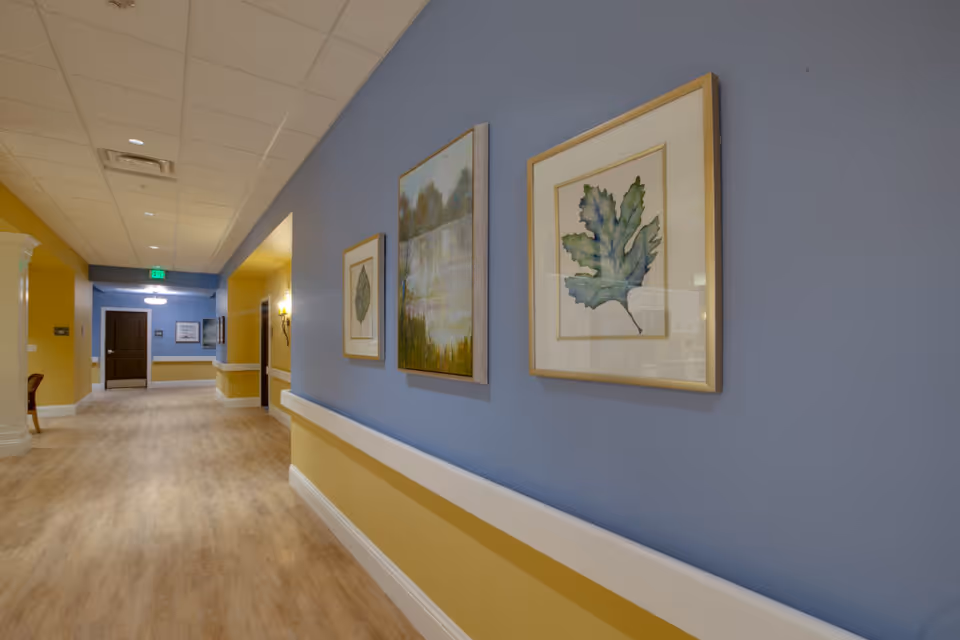 Well-lit interior hallway with framed botanical and landscape artwork on a blue and yellow wall and wood-look flooring.