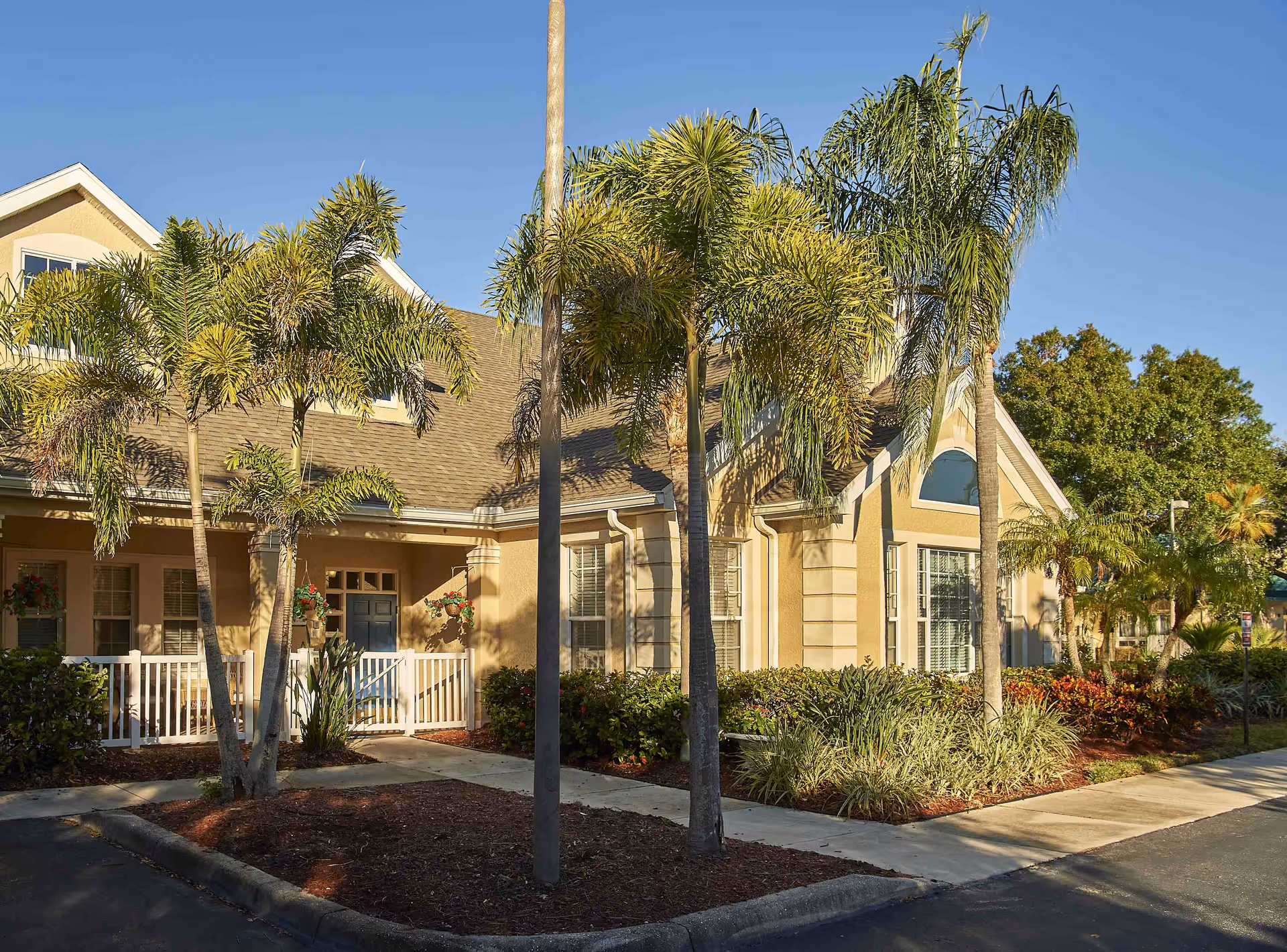 Exterior view of a single-story residential building with beige walls and a brown roof, surrounded by palm trees and landscaped greenery under a clear blue sky.