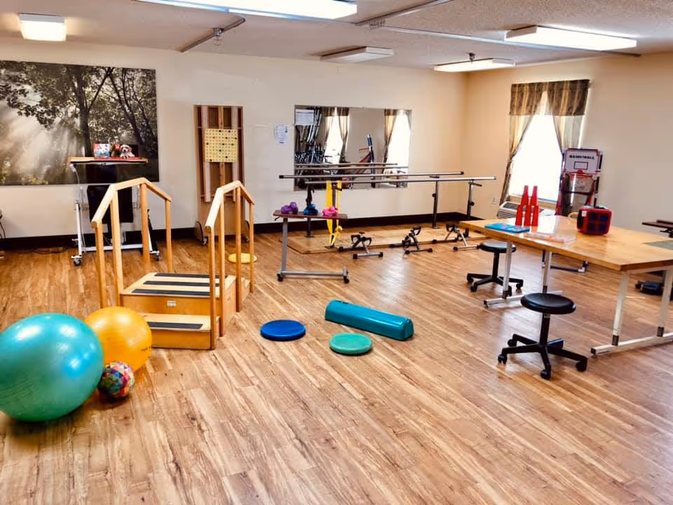 A spacious rehabilitation room with wooden flooring featuring exercise equipment including therapy stairs, large exercise balls, balance pads, parallel bars, and a table with stools. The room has large windows with curtains, mirrors on the wall, and a calming nature-themed wall art.