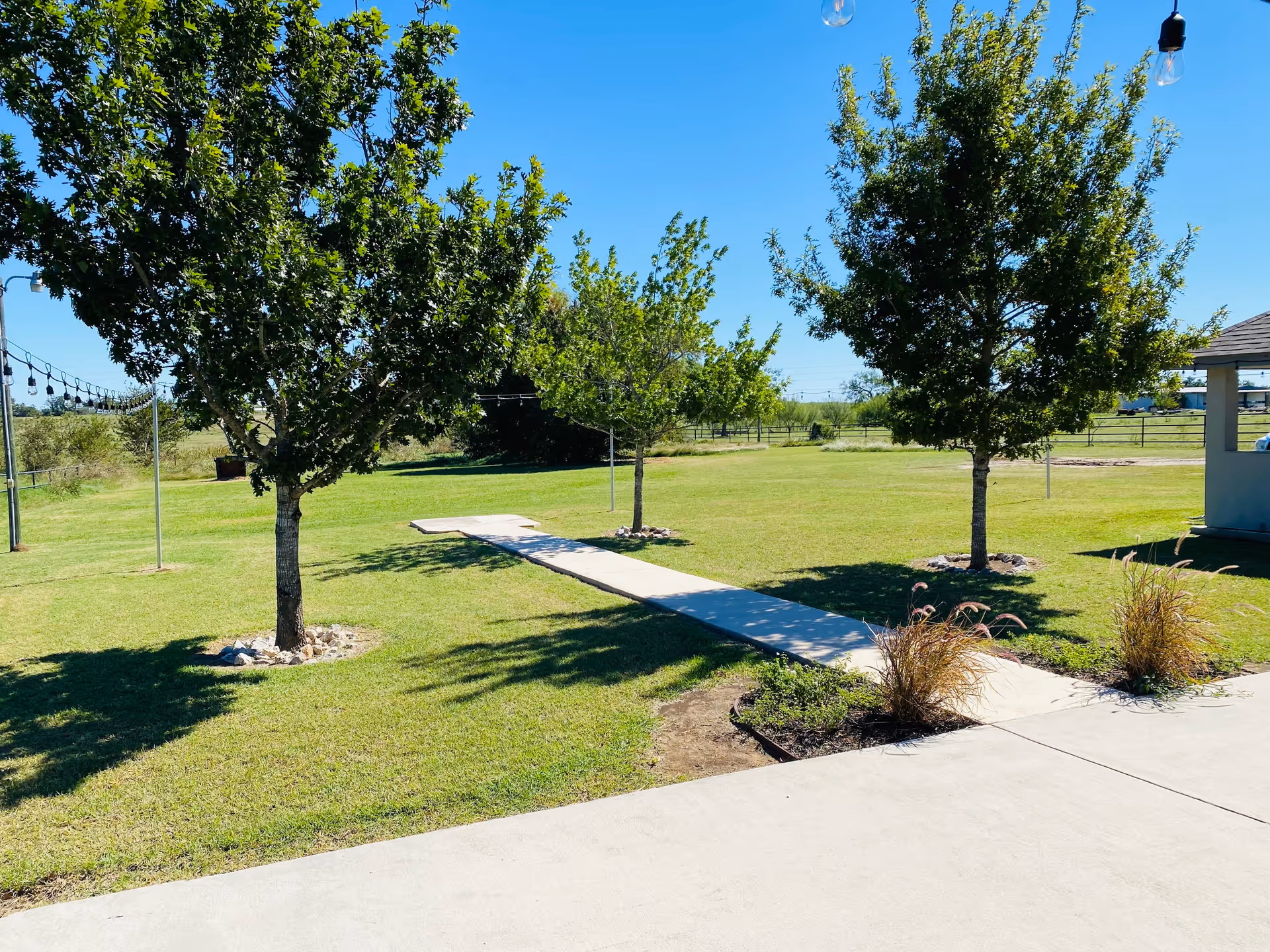 A sunny outdoor area with a concrete walkway leading through a grassy lawn. There are three trees planted along the walkway, each surrounded by small rocks. String lights are hung on poles along the left side of the lawn. In the background, there is a fence and some distant greenery under a clear blue sky.