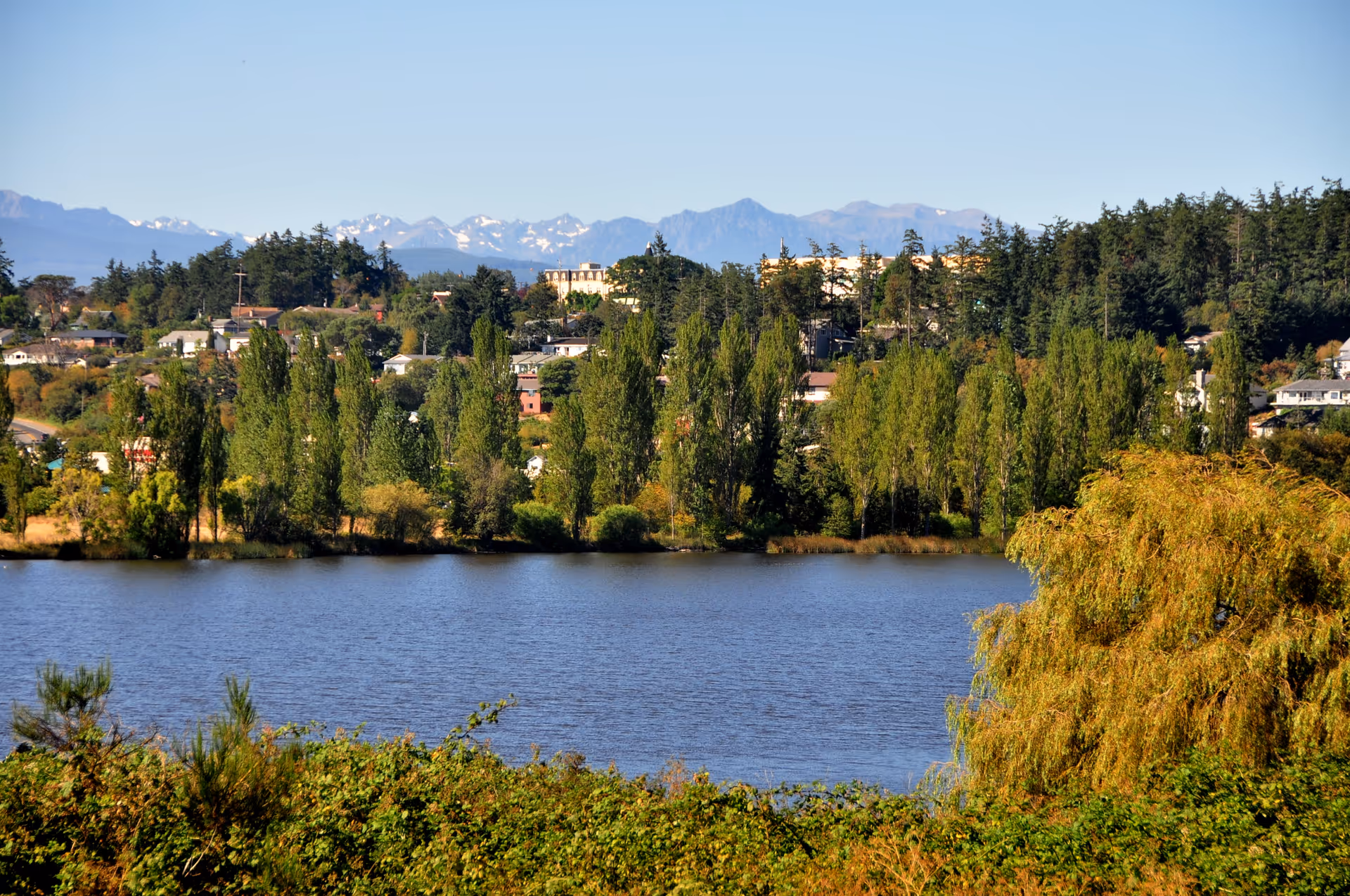 A scenic view of a lake with green trees along the shore and a residential area with houses and buildings in the background. Behind the buildings, there are forested hills and snow-capped mountains under a clear blue sky.