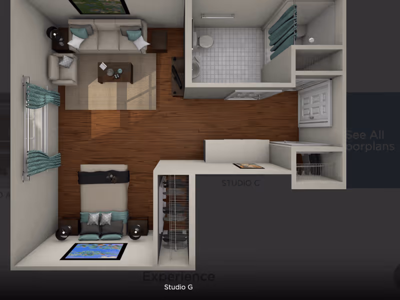 Top-down view of a studio apartment floor plan featuring a living area with a sofa, armchair, coffee table, and TV, a bedroom area with a bed and nightstands, a bathroom with a toilet and shower, and a closet near the entrance.