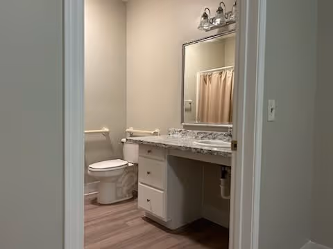View into a bathroom with a toilet, a white vanity with a marble countertop, a large mirror above the sink, and a shower curtain visible in the background. The floor is wood-style, and the walls are painted a light color.