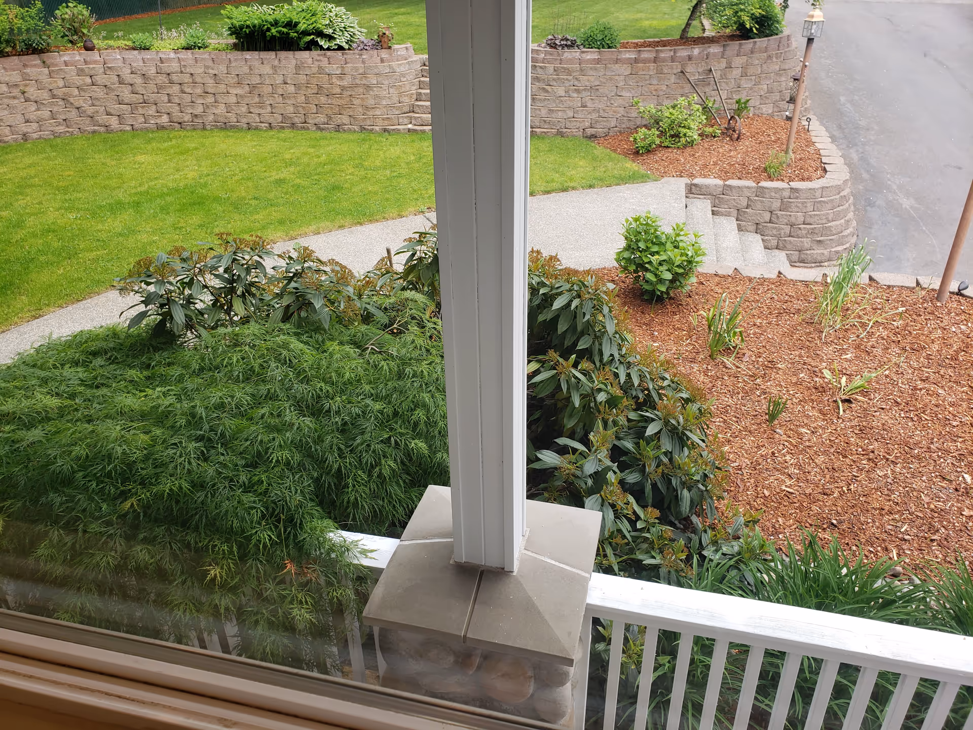 View through a window showing a landscaped outdoor area with green grass, shrubs, a stone retaining wall, a concrete pathway, and steps leading to a paved driveway.