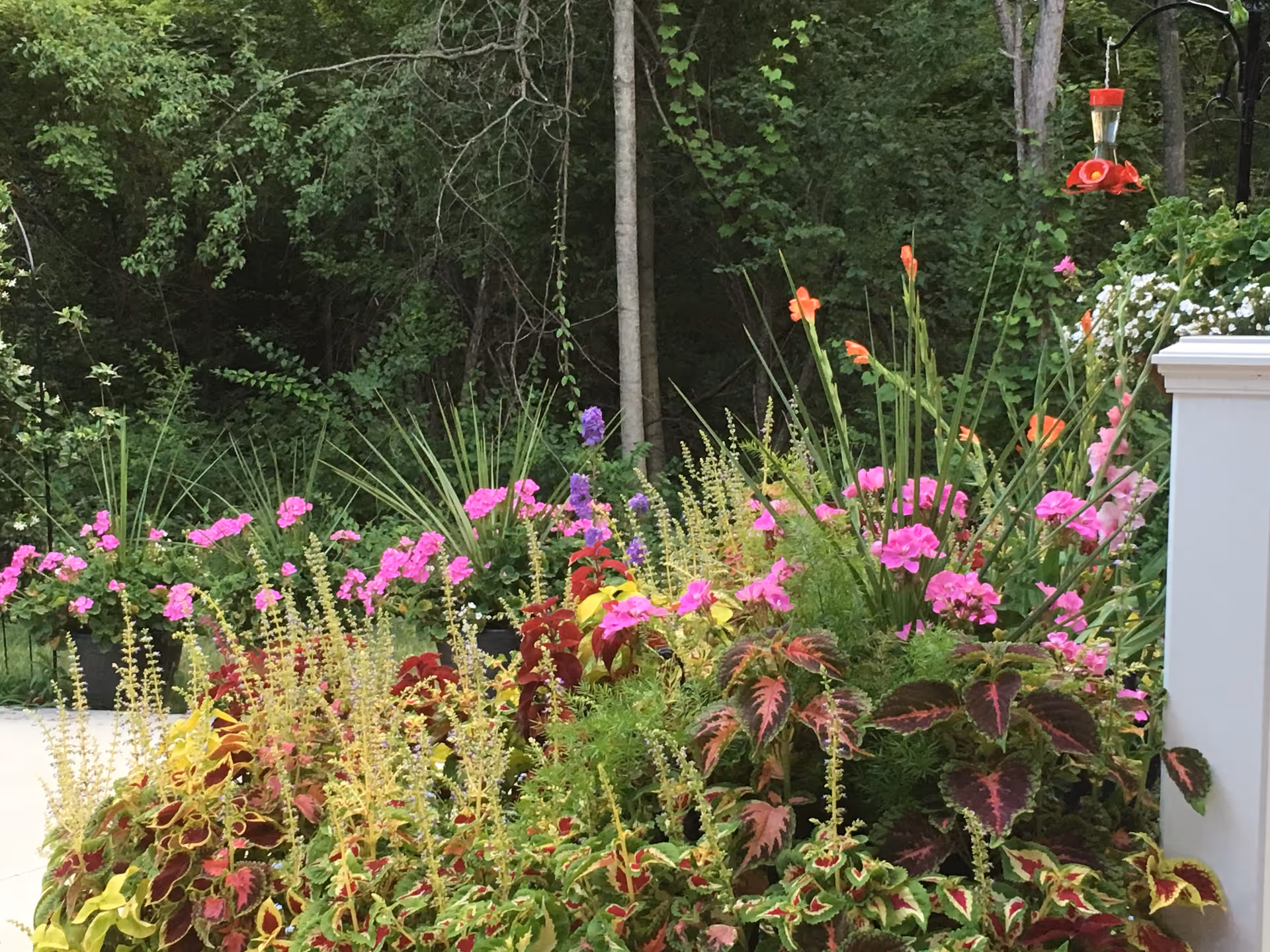 Outdoor garden at Serenity Manor of Canton with colorful flowers and greenery beside a white column