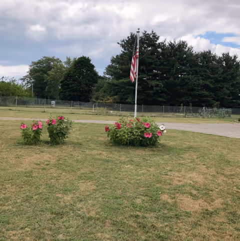 A grassy yard with two flower beds and an American flag on a pole, with trees and a chain-link fence under a cloudy sky.