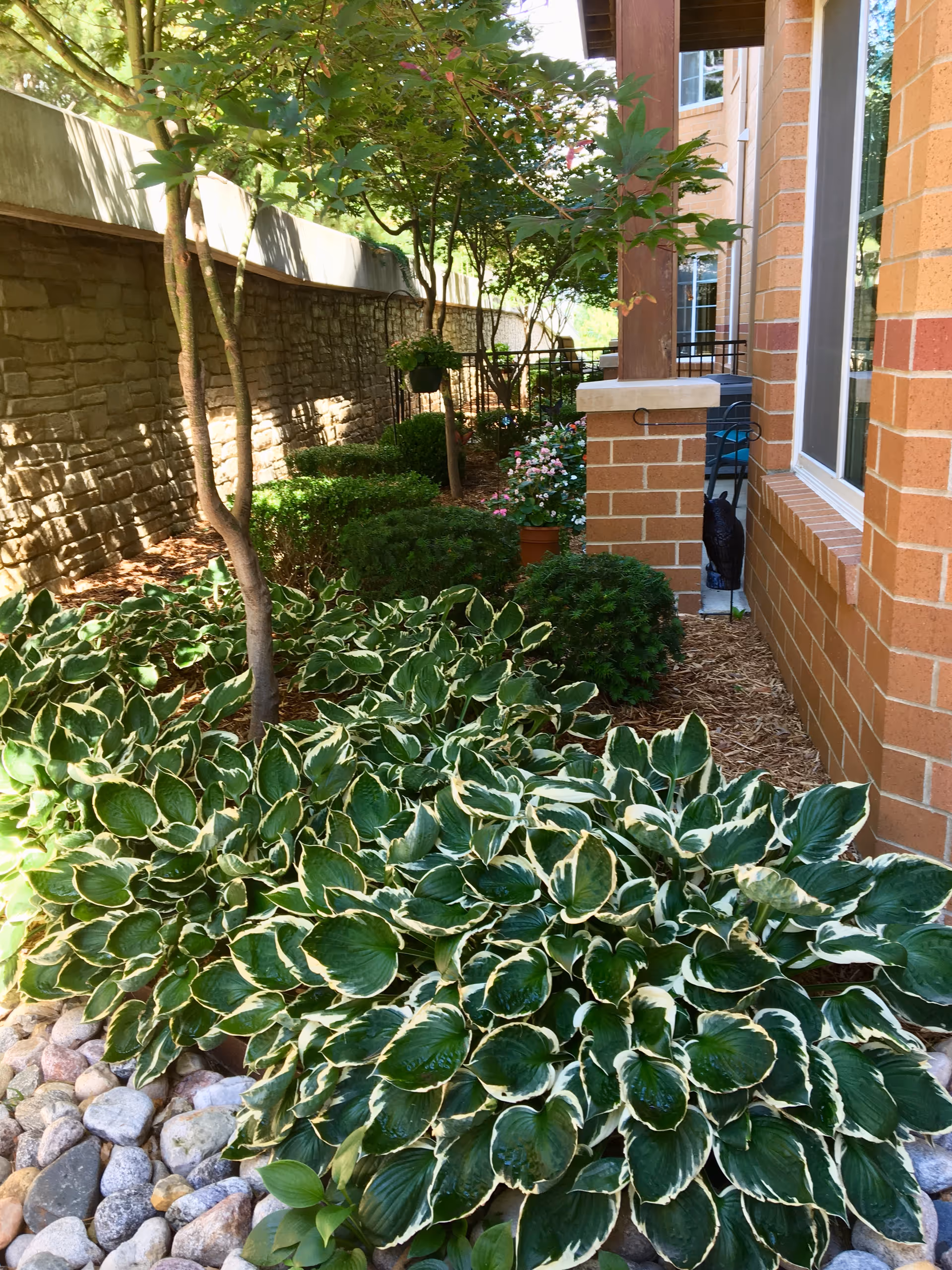 A landscaped garden area next to a brick building with variegated green and white leafy plants, small trees, bushes, and a stone border. There is a stone wall on the left side and a patio area with outdoor furniture partially visible on the right.