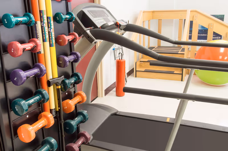 A fitness room with a treadmill, a rack of colorful dumbbells, exercise bars, a fire extinguisher, and large exercise balls in the background.