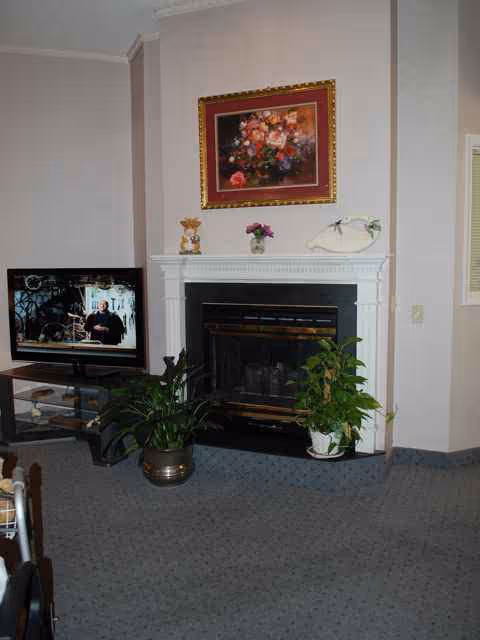 Cozy living room with a fireplace, TV, artwork, and potted plants.
