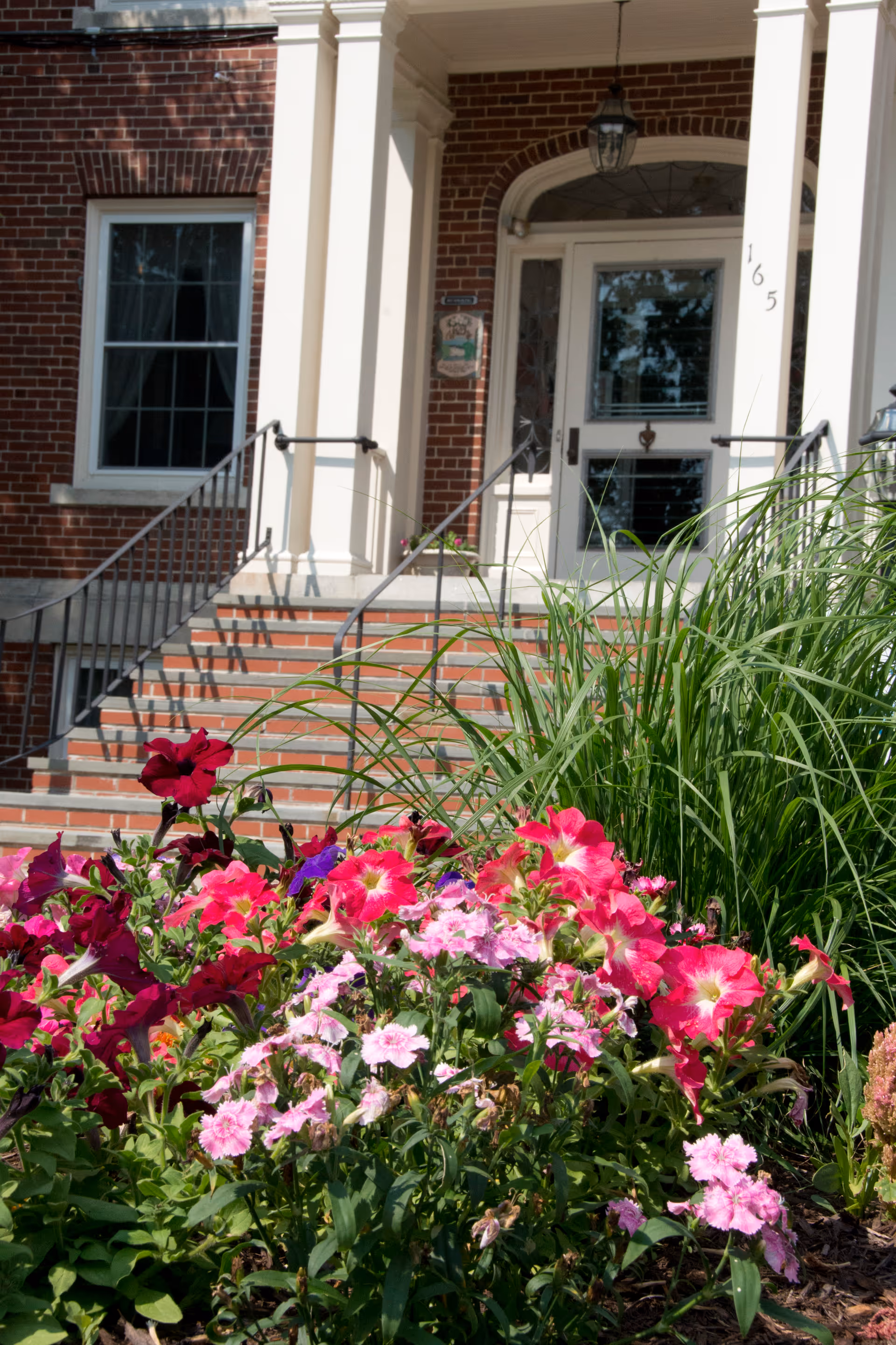 Front entrance of a brick building with white columns and steps leading up to a glass door. In the foreground, there is a garden bed with vibrant pink, purple, and red flowers along with green ornamental grasses.