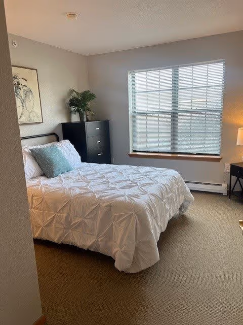 A bedroom with a neatly made bed featuring a white comforter and a green decorative pillow. There is a black dresser with a potted plant on top, a framed picture of a bicycle on the wall, a window with blinds letting in natural light, and a small bedside table with a lamp.