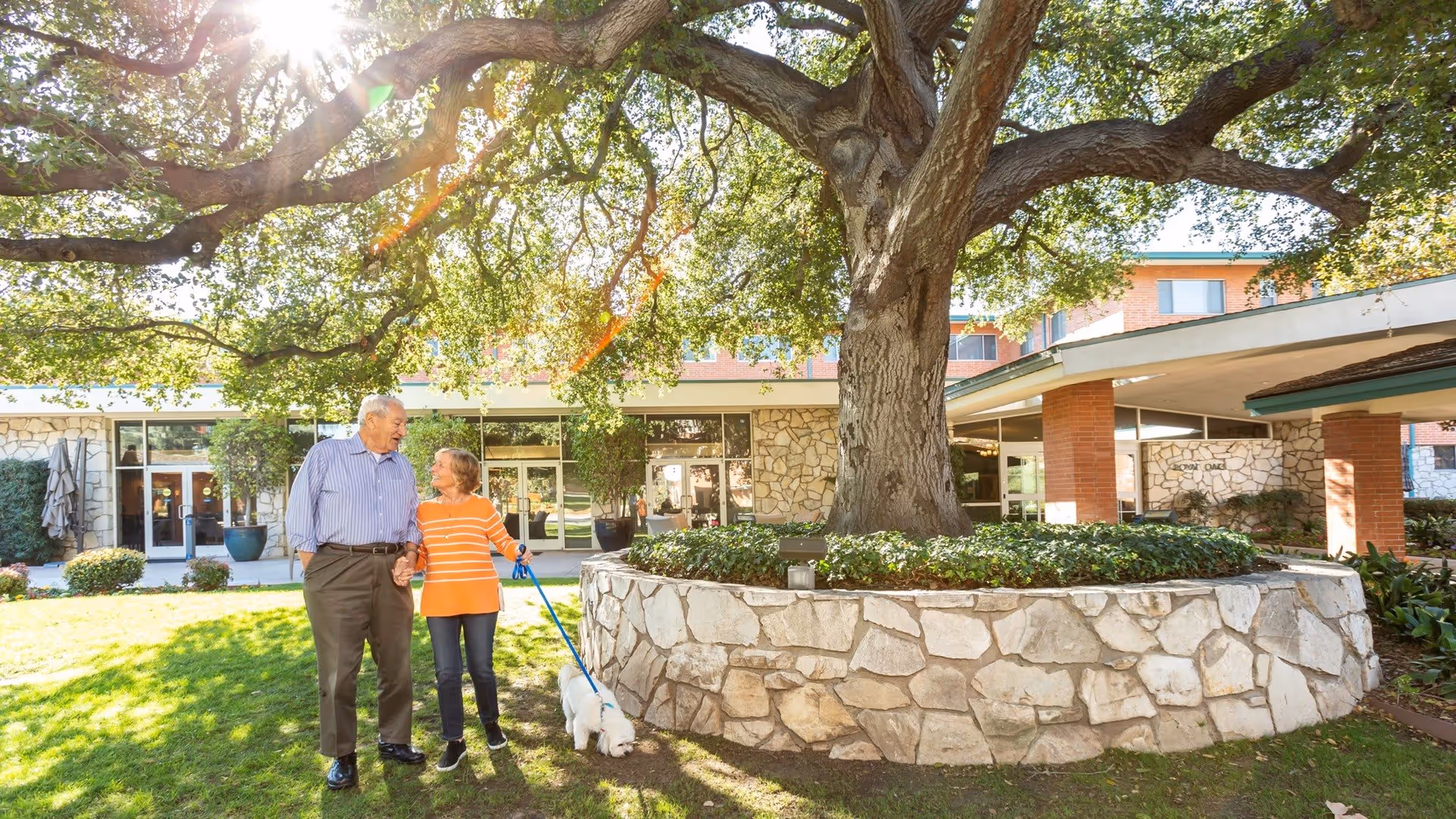 An elderly couple holding hands and walking a small white dog on a leash in a sunny outdoor garden area with a large tree and stone planter in front of a building with stone and brick exterior.