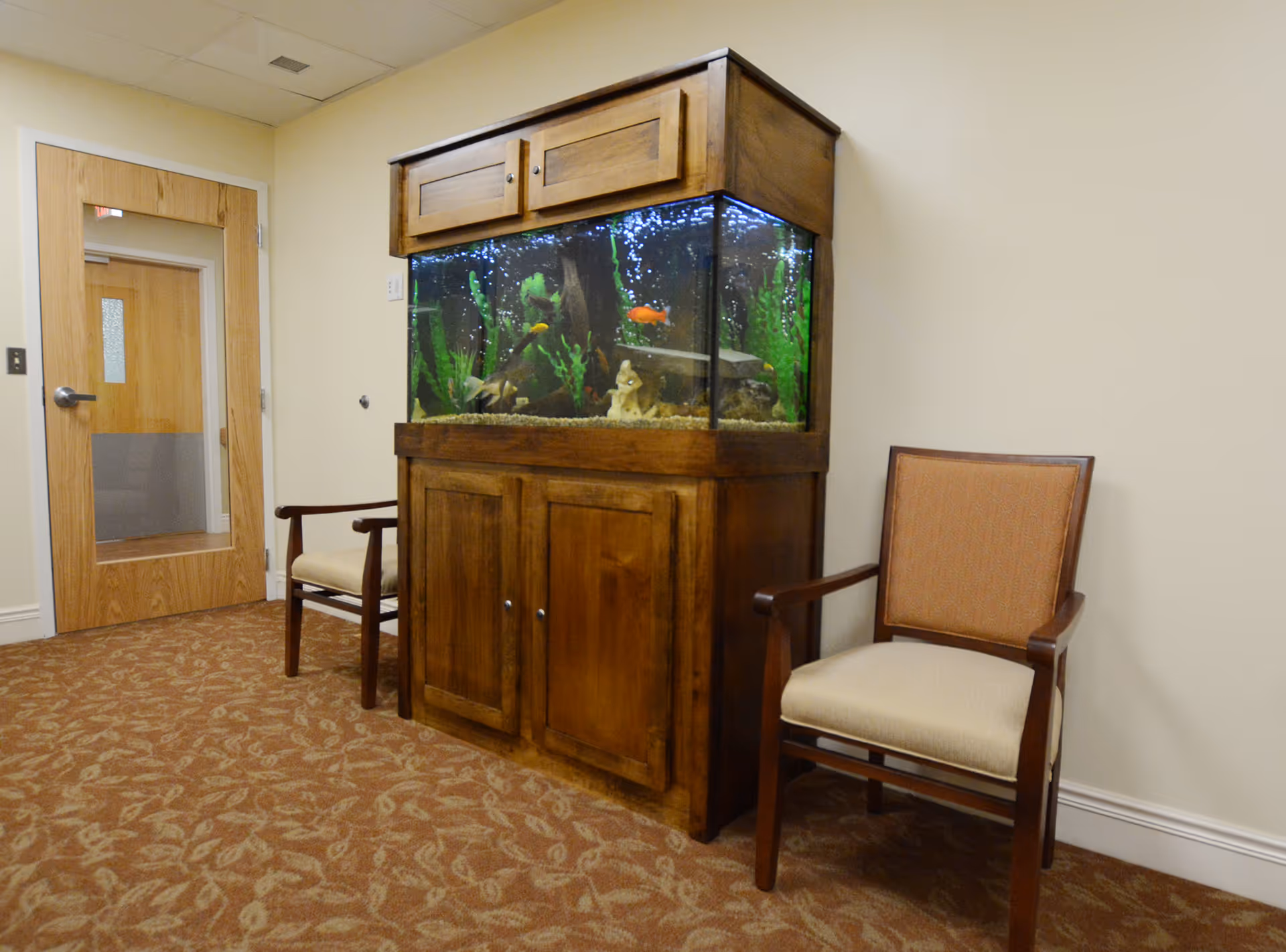 An interior room with beige walls and patterned carpet featuring a large wooden aquarium filled with fish and aquatic plants. Two wooden chairs with cushioned seats and backs are placed on either side of the aquarium. A wooden door with a glass panel is visible in the background.
