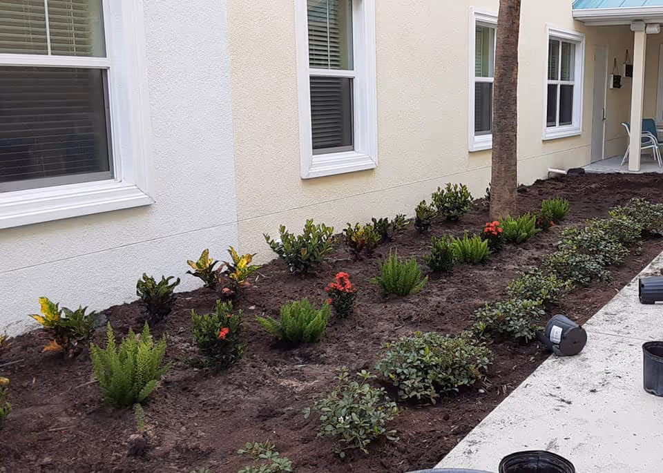 Planted garden bed with small shrubs and ferns along the exterior wall and windows of a beige building next to a concrete walkway.