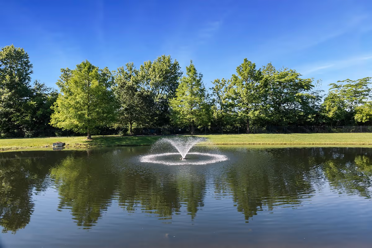 A serene outdoor pond with a water fountain spraying water upwards, surrounded by green grass and trees under a clear blue sky.