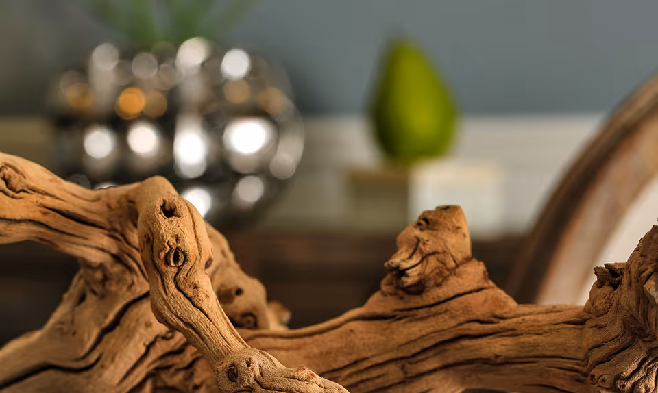 Close-up view of a piece of driftwood or natural wood decor with a blurred background featuring a shiny silver decorative object and a green pear-shaped item on a table.