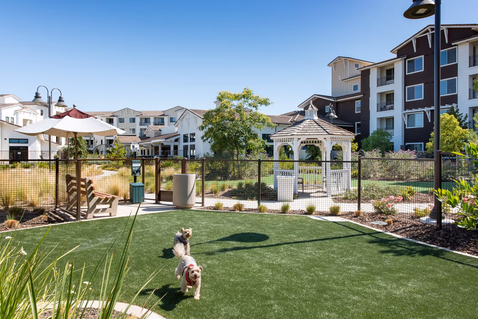 Outdoor area of a senior living facility with two small dogs playing on a green lawn. The area is fenced and includes a white gazebo, benches, a trash can, and a large umbrella for shade. In the background, there are multi-story residential buildings under a clear blue sky.