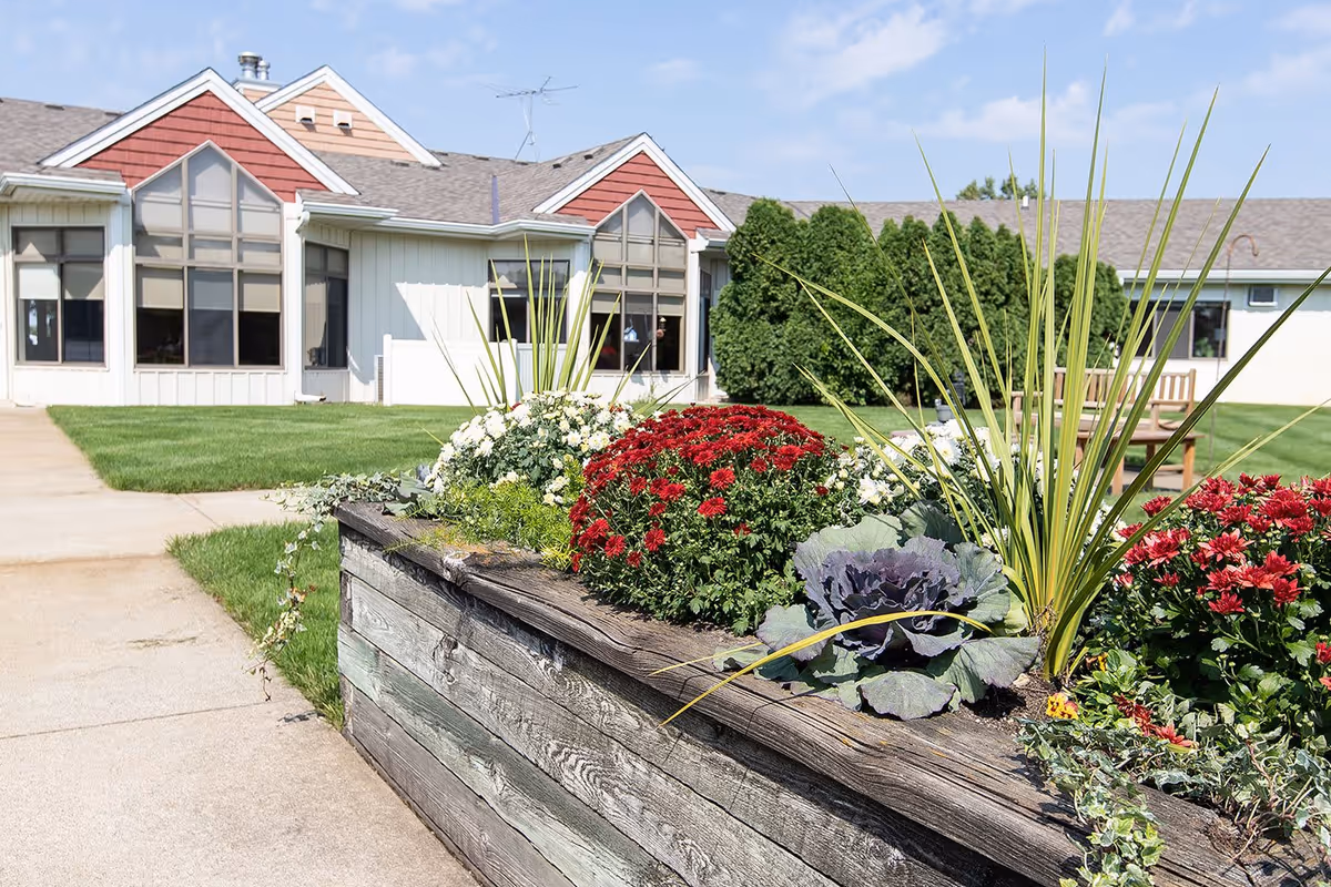 Outdoor garden area at Byron Manor featuring a raised wooden planter box filled with red and white flowers, green plants, and ornamental cabbage. In the background, there is a building with large windows, a well-maintained lawn, and a wooden bench under a clear blue sky.