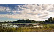 Photo 18 of Panorama