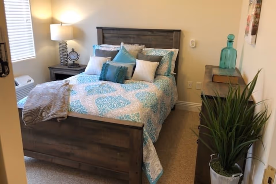 Small furnished bedroom with a wooden bed made with teal and white patterned bedding, a nightstand with lamp, dresser and potted plant.