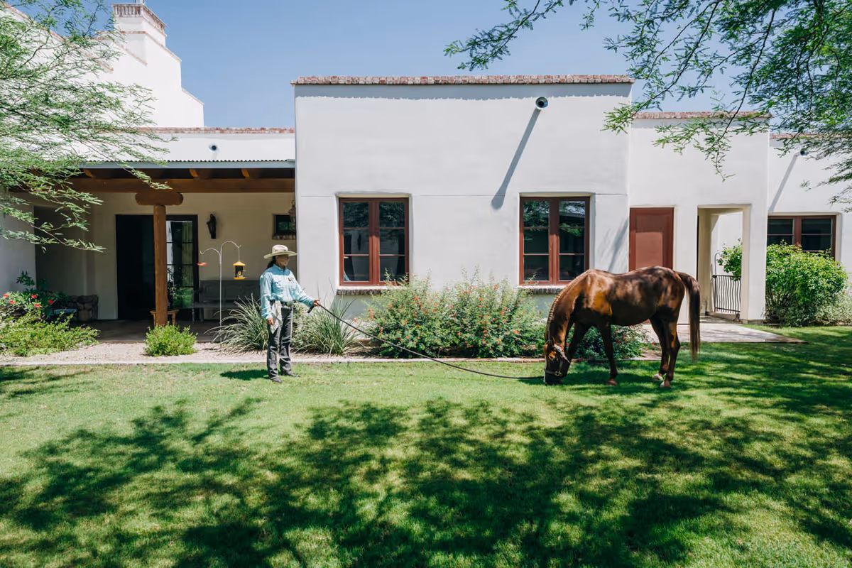 A person stands on a lawn in front of a white stucco building holding a horse on a lead while the horse grazes.