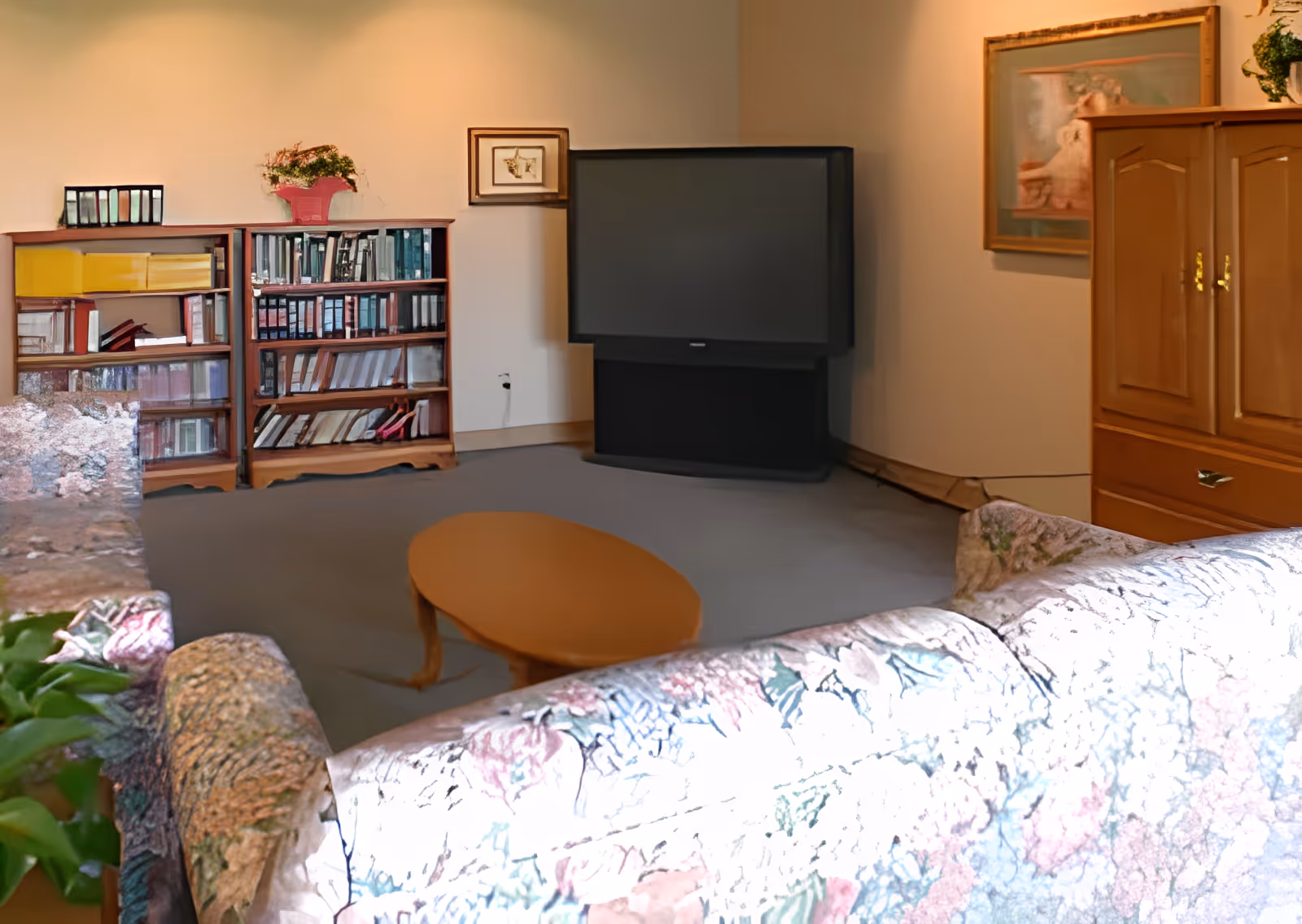 A cozy living room with floral patterned sofas, a wooden coffee table, a large TV on a stand, a wooden bookshelf filled with binders and books, and a wooden cabinet. The walls are decorated with framed artwork and there is a potted plant on top of the bookshelf.