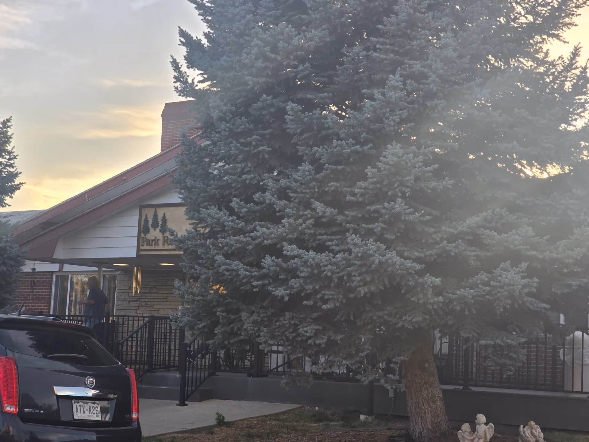 Exterior view of Park Forest Care Center, Inc building partially obscured by a large evergreen tree. A black Cadillac SRX with a visible license plate is parked in front. A person is standing near the entrance ramp with black railings. The sky is cloudy with a soft sunset glow.