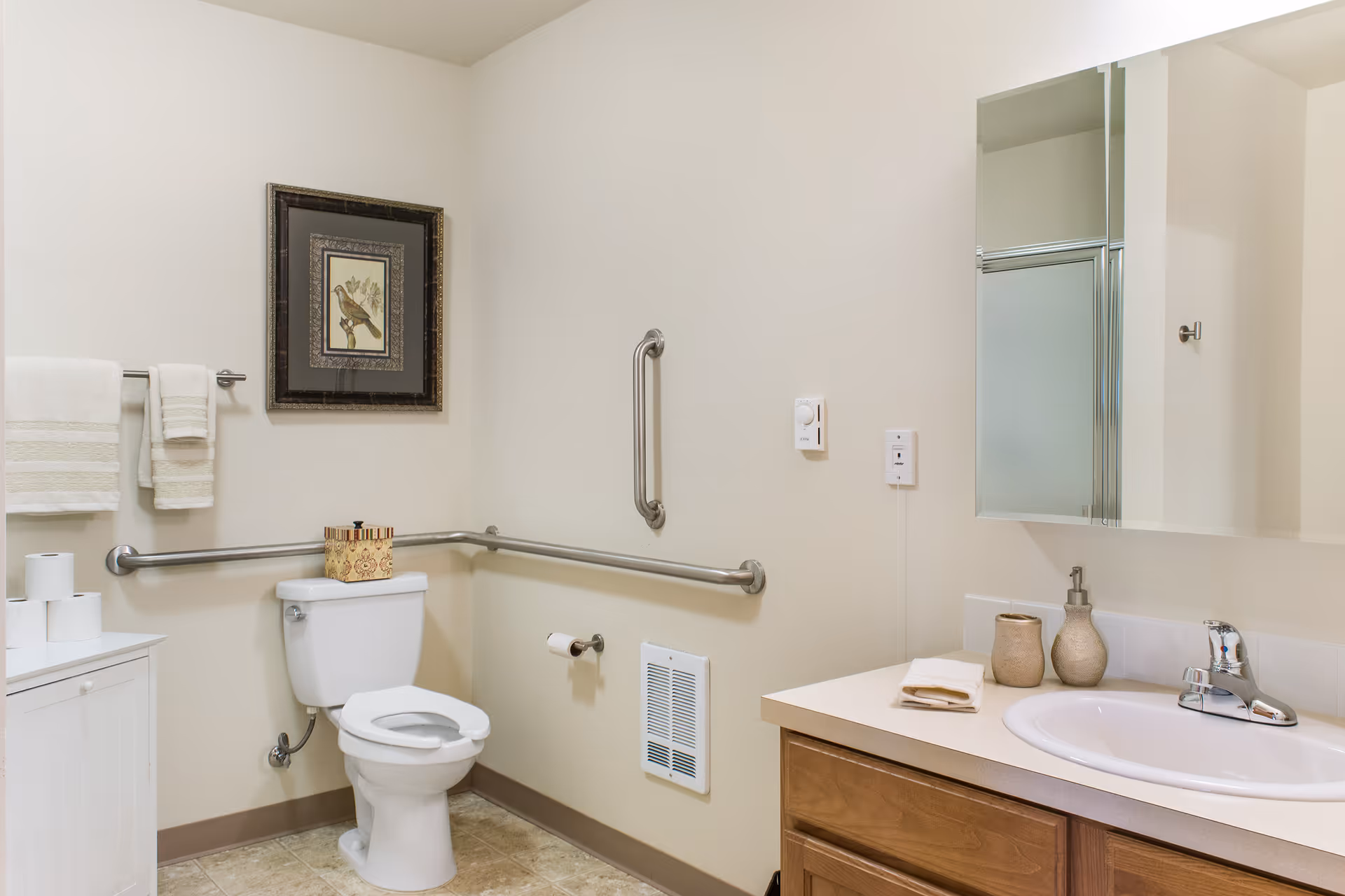 A clean and accessible bathroom with a white toilet, grab bars on the walls, a framed bird picture above the toilet, a white cabinet with toilet paper rolls, and a sink with a mirror and soap dispenser on the right side.
