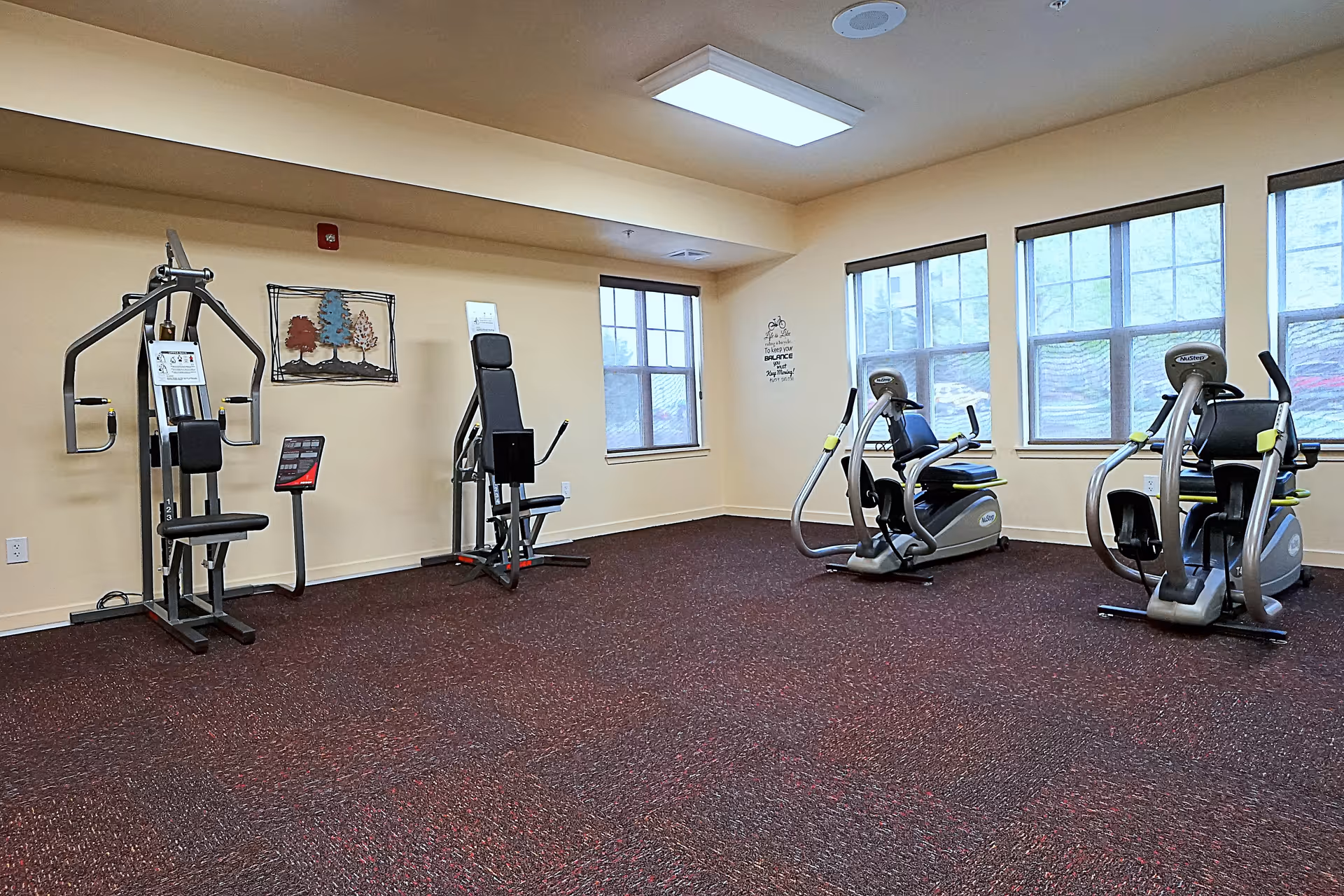 A fitness room with exercise equipment including weight machines and stationary bikes, beige walls, large windows letting in natural light, and a maroon carpeted floor.