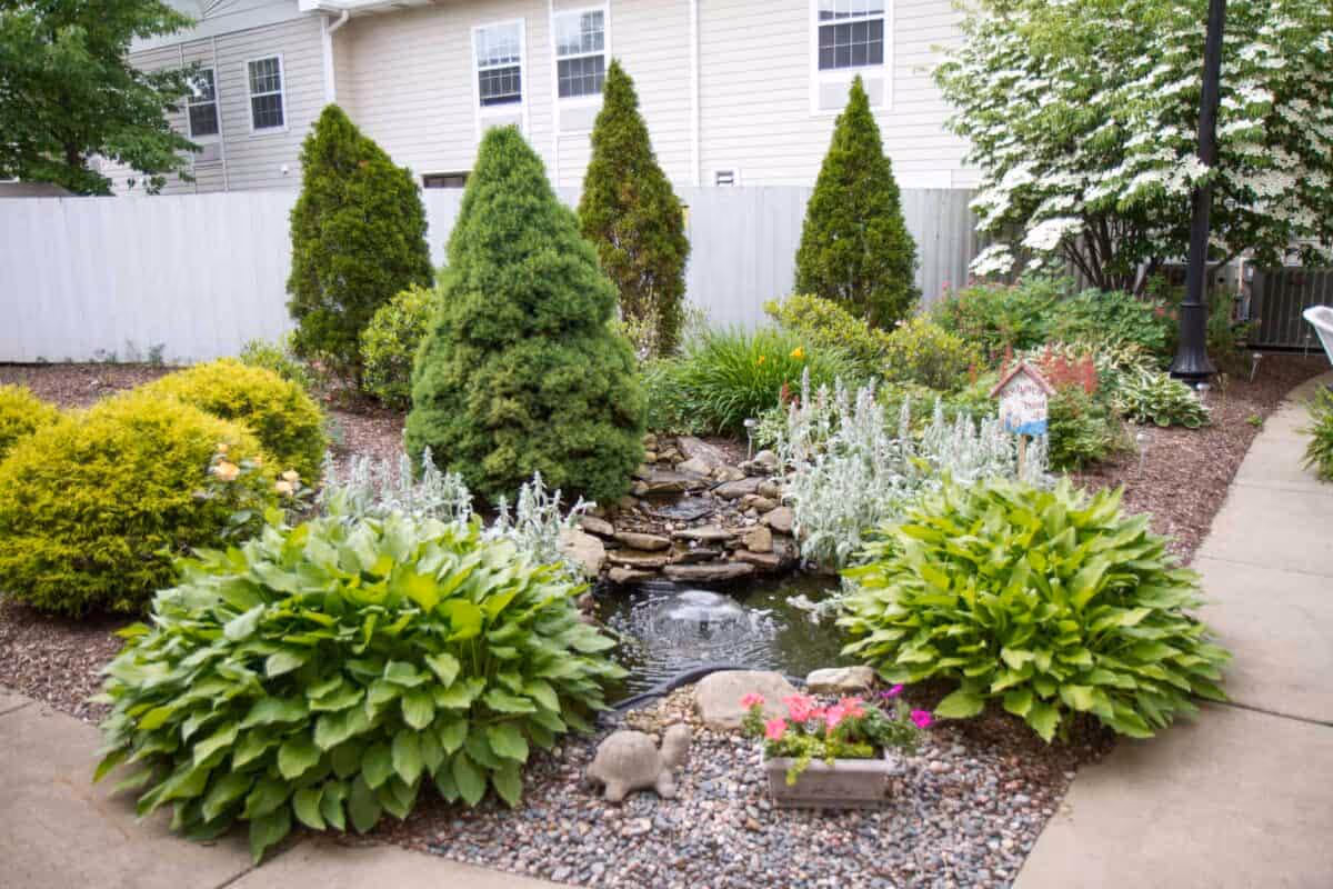 A landscaped garden area with various green shrubs, small trees, and flowering plants surrounding a small pond with a rock waterfall feature. There is a concrete pathway on the right side and a white fence and building in the background.
