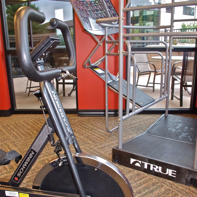 Indoor exercise area with a Schwinn stationary bike and a treadmill branded TRUE, with large windows showing outdoor patio chairs and tables.