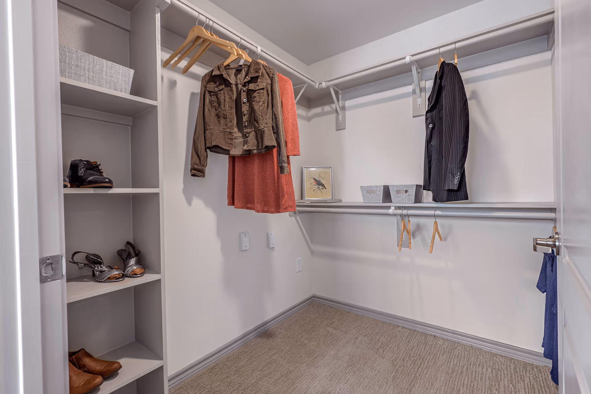 A walk-in closet with beige carpet and white walls. There are shelves on the left side holding shoes, and hanging rods with a few clothes on wooden hangers. Two gray storage bins and a framed picture are placed on a shelf on the right side.