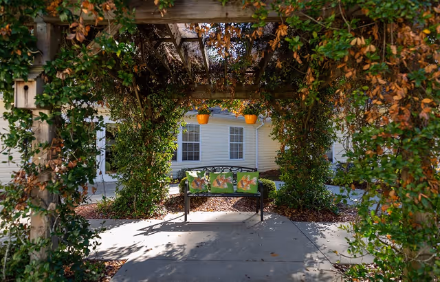 A bench with green floral cushions sits under a vine-covered wooden pergola in a sunny courtyard in front of a light-colored building.