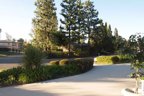 Sunlit outdoor courtyard with curved walkway and manicured shrubs at a senior living facility.