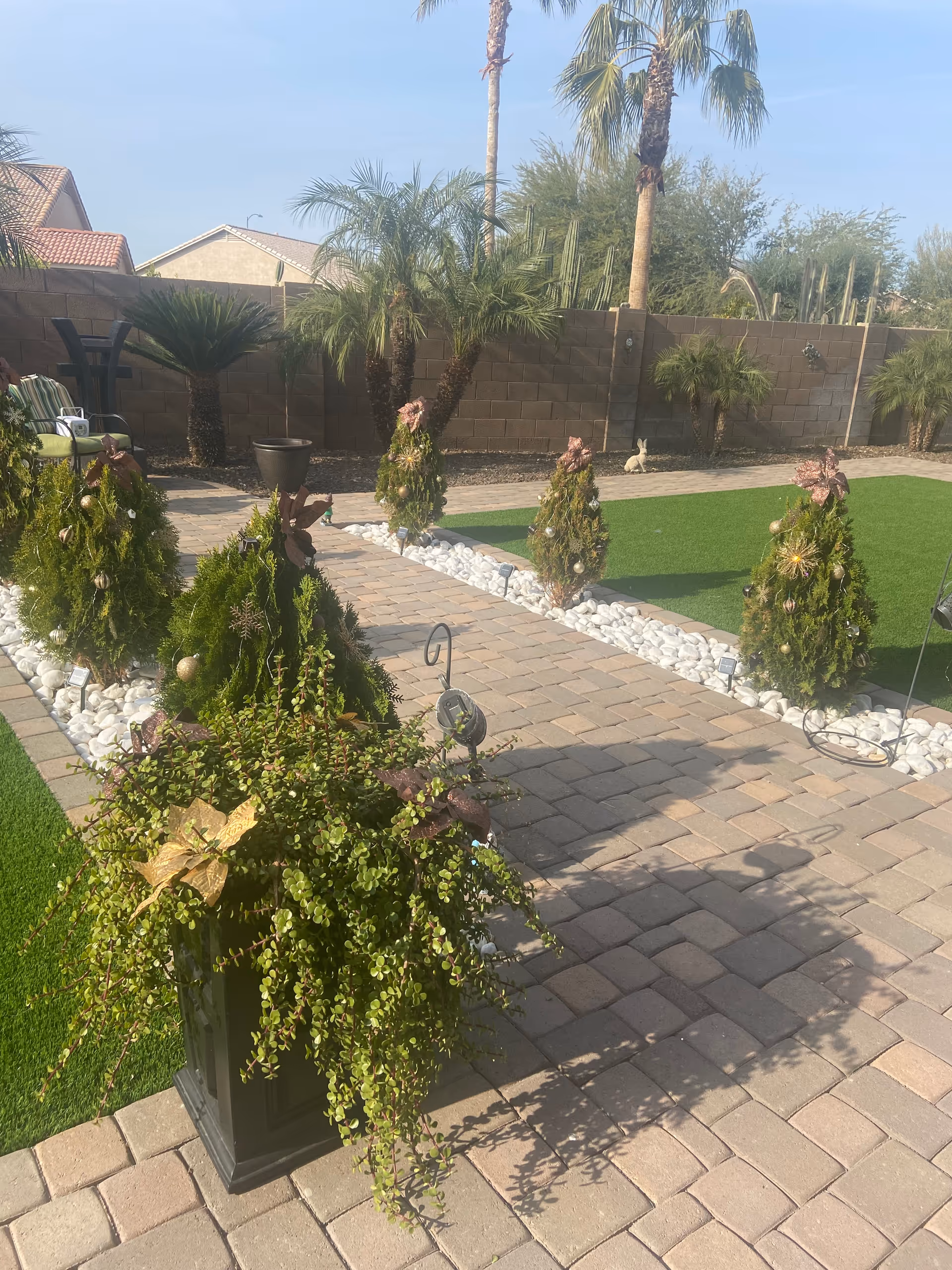Sunlit outdoor courtyard with a paver walkway, potted and conical evergreen plants, artificial turf and palm trees.