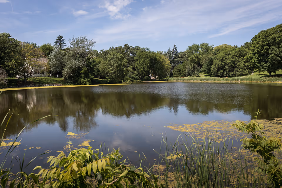 A tranquil pond surrounded by trees with reflections on the water under a blue sky.